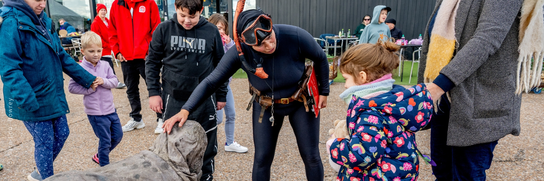 HSF '25 - Circo Rum Ba Ba - The Seal - Sara-Lou Bowrey Photography