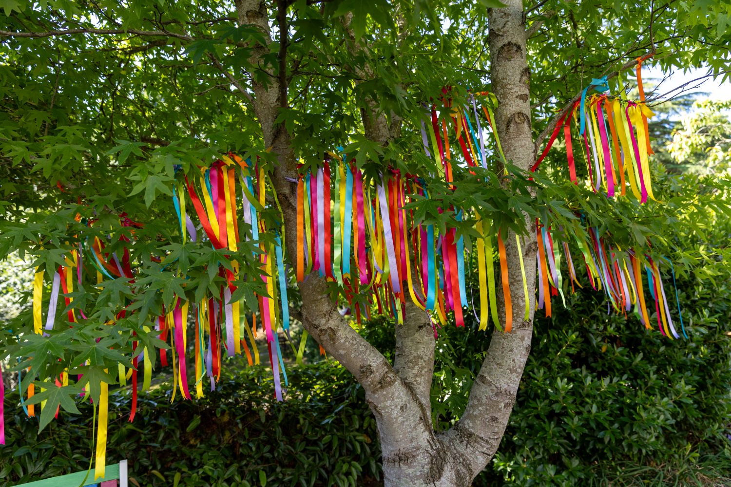 Remembrance Ribbon Tree