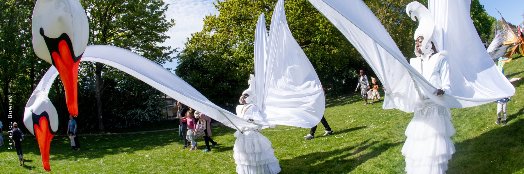 Springle '26 - 18H Website Slideshow - Mahogany Carnival Arts - Swans